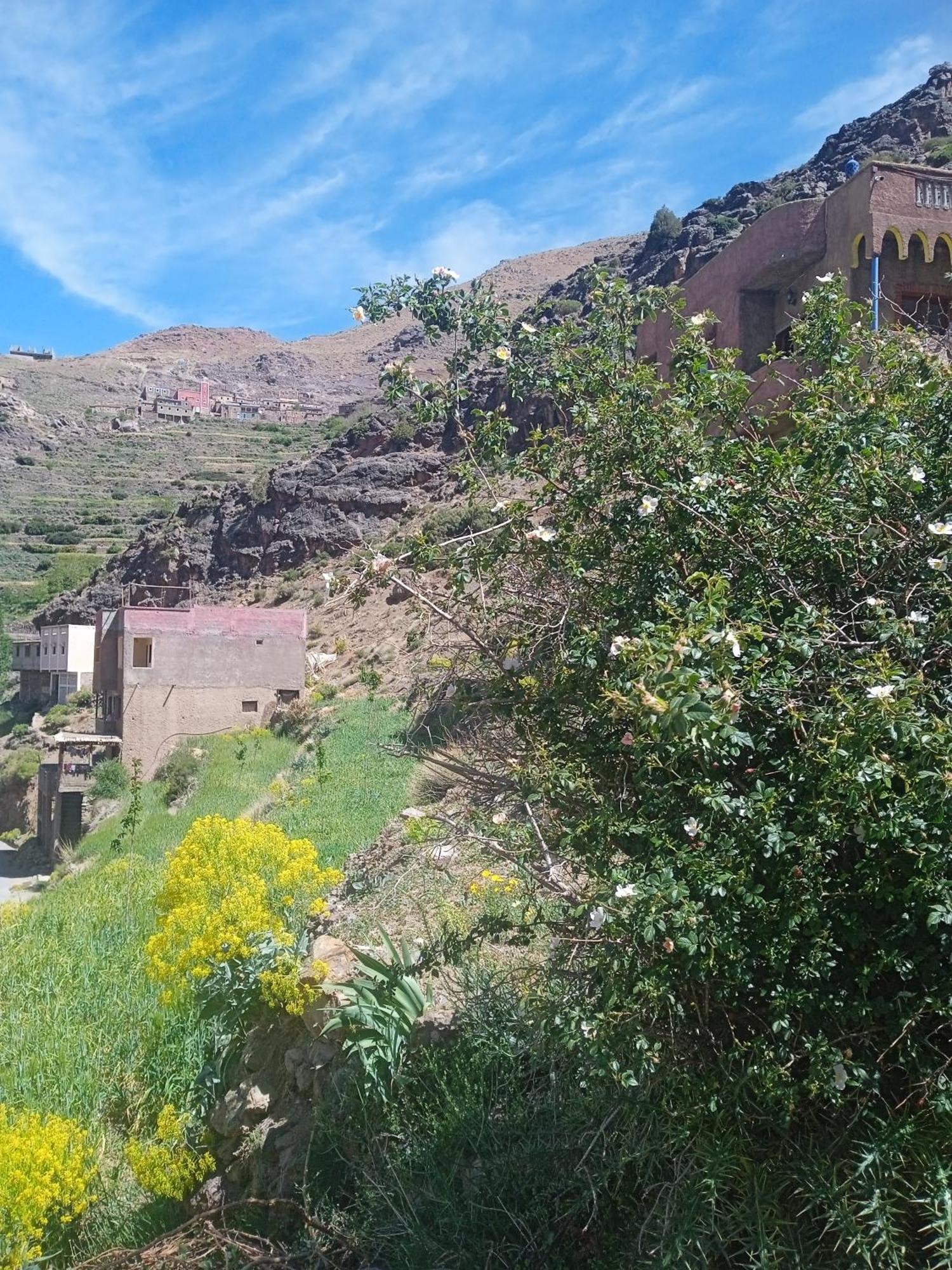Riad Atlas Imnane Imlil (Atlas Mountains) Exterior foto